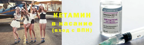 стаф Алзамай