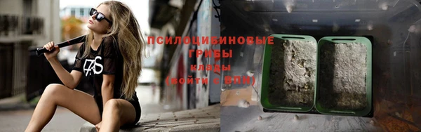 твердый Алексеевка