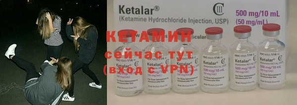 прущие грибы Ростов
