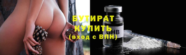 стаф Алзамай