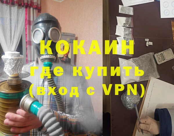 стаф Алзамай