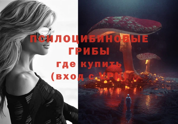 стаф Алзамай