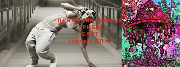 стаф Алзамай