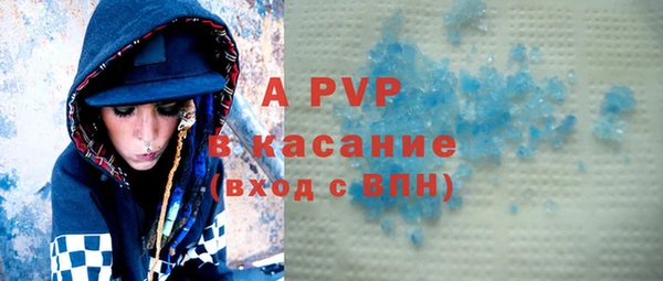 стаф Алзамай